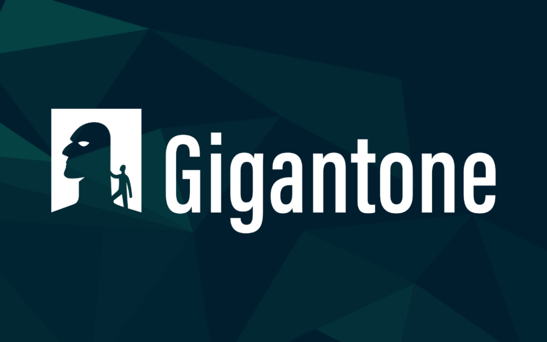 15 razões por  que deve utilizar a Gigantone na sua empresa de formação